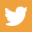 twitter icon